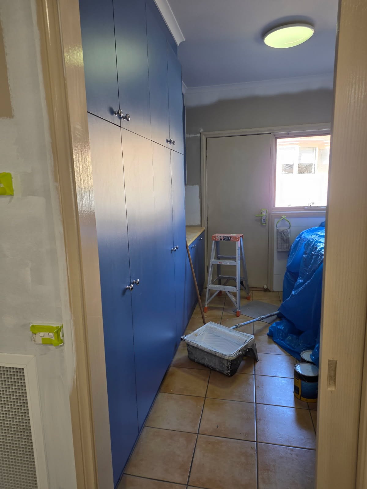 Before laundry refresh photo showing darker blue cabinetry and a tired laundry finish before repainting